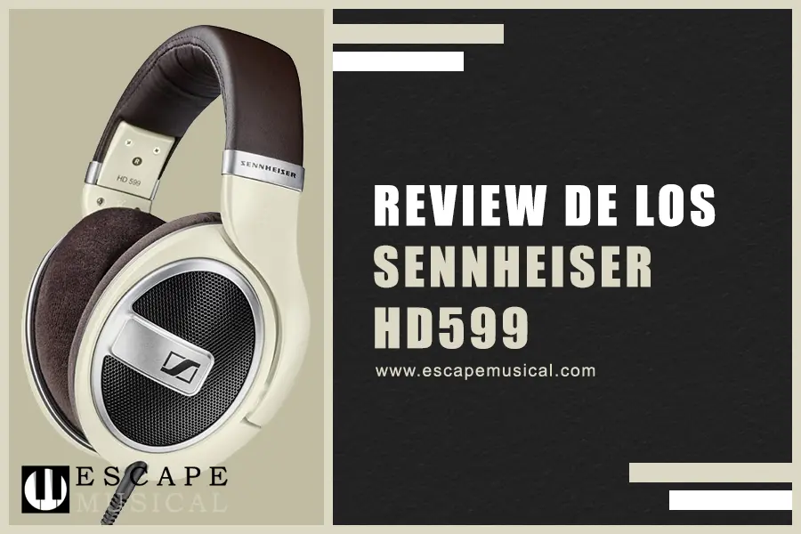 Sennheiser HD 599 - Auriculares abiertos 